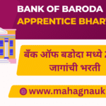 Bank of Baroda Apprentice Bharti